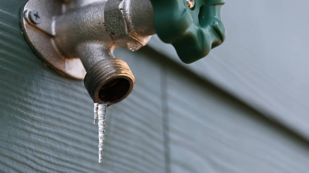 Best Best Plumbers Near Me  in Rehobeth, AL